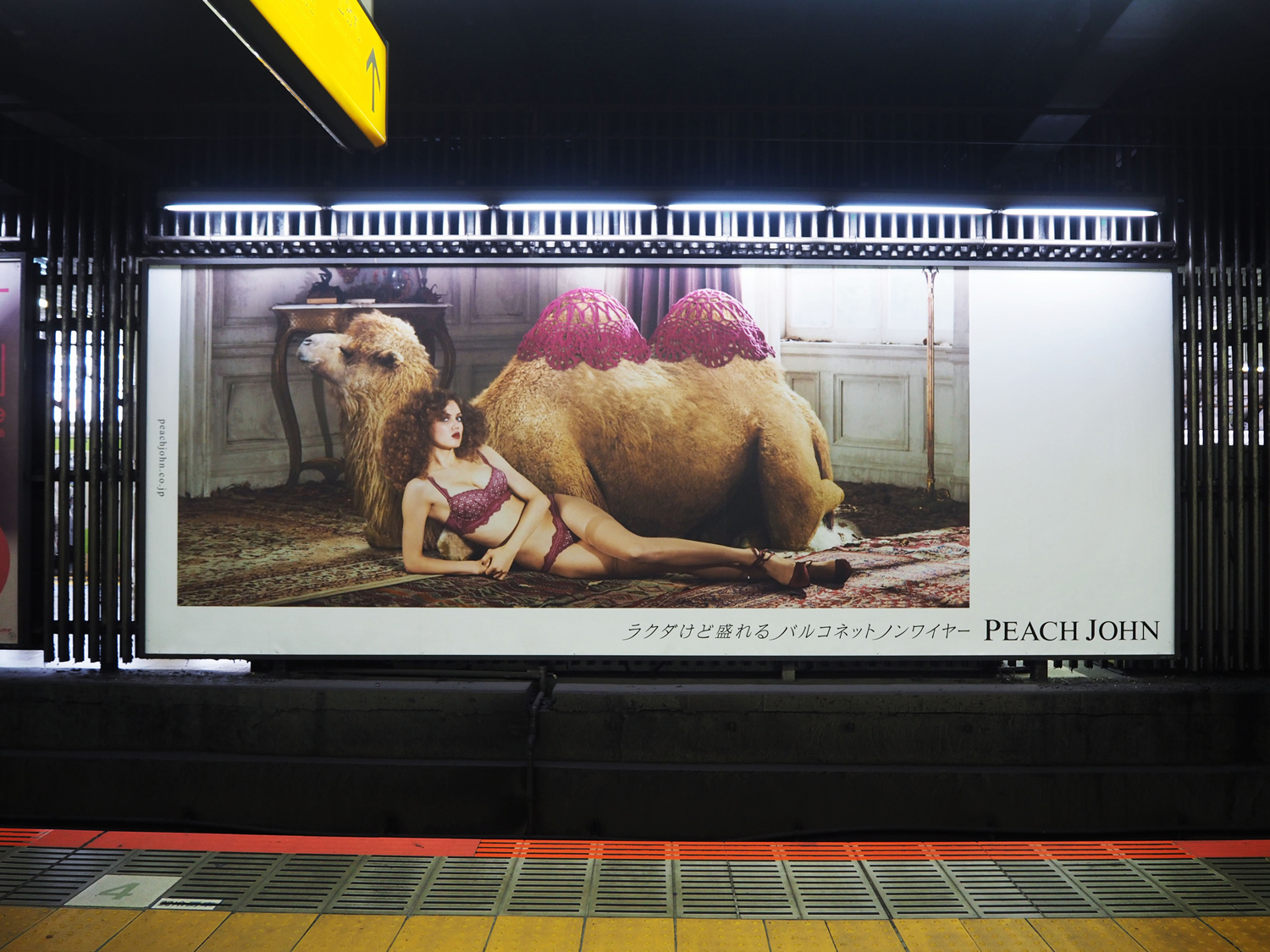 ピーチ・ジョン　Peach John　秋の広告　ラクダ広告　バルコネットブラ　掲出風景　交通広告
