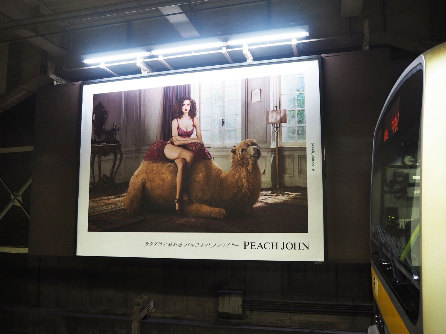 ピーチ・ジョン　Peach John　秋の広告　ラクダ広告　バルコネットブラ　掲出風景　交通広告
