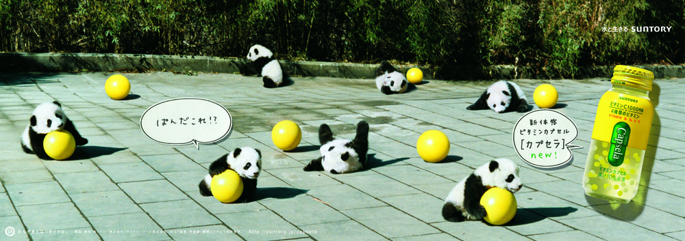 カプセラ　capusera panda パンダのカプセラ　広告